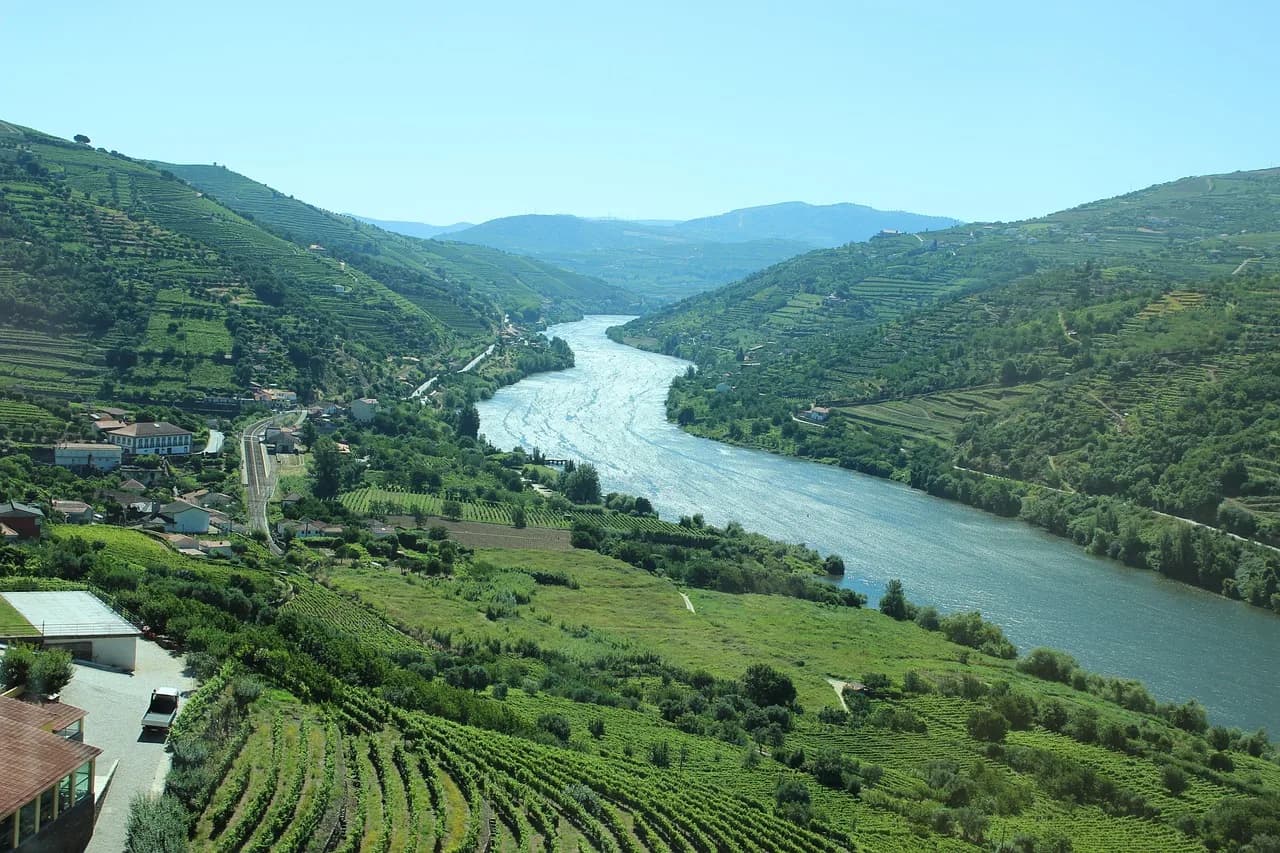 ESSENZA DEL DOURO