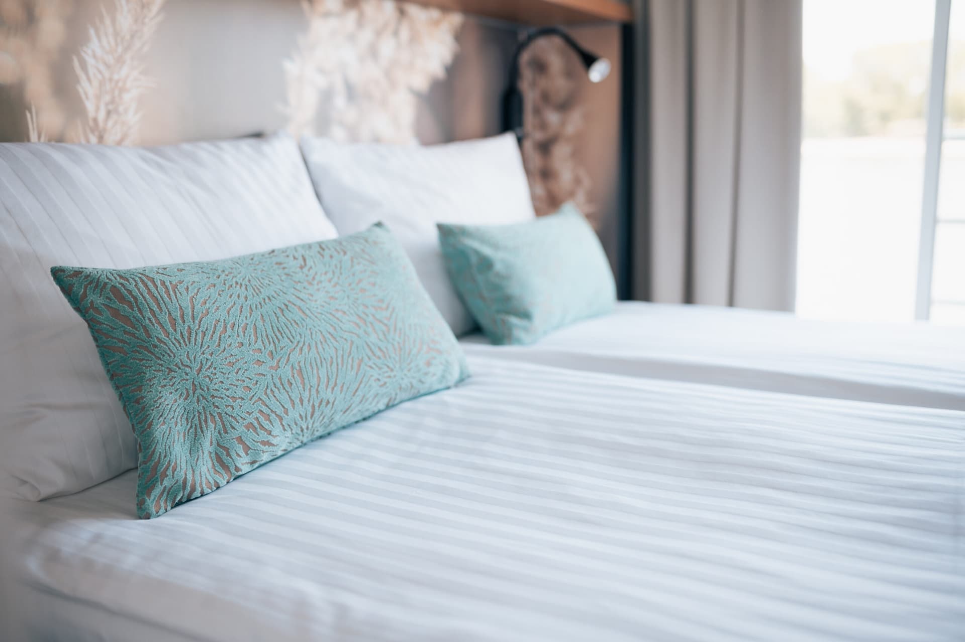 Ms Vistario Speciale Brume Olandesi